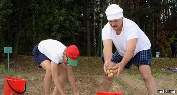 хоть и не у нас, но вот как батька может