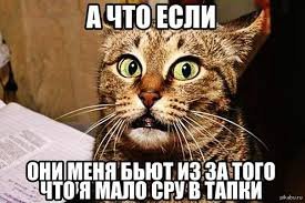 Как волшебный тапок спас молодую львицу