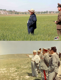 Я так вижу. Или реинкарнации на каждый день