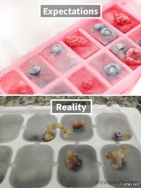 как?? как можно кубики льда с ягодами не заморозить, ну кто-то и безрукий
