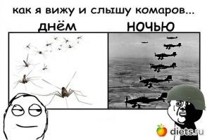 Хуже комаров только мошка.