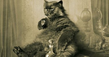 Он занят