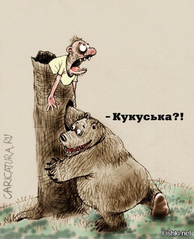 Наглый медведь съел продукты отправившегося в поход сибиряка