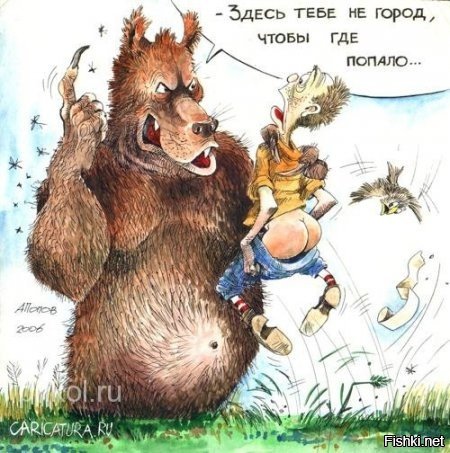 Наглый медведь съел продукты отправившегося в поход сибиряка