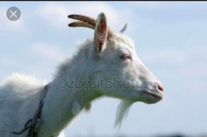 Фу... Показалось...