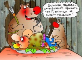 Наглый медведь съел продукты отправившегося в поход сибиряка
