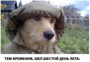 Подборочка позитивных фото