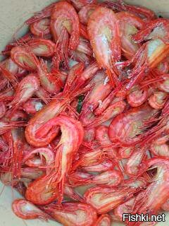 легко...вкуснятина ..еж, осьминог, креветка , краб...и много другого..это с краю в телефоне было.