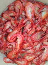 легко...вкуснятина ..еж, осьминог, креветка , краб...и много другого..это с краю в телефоне было.