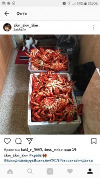 легко...вкуснятина ..еж, осьминог, креветка , краб...и много другого..это с краю в телефоне было.