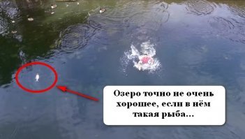 Парень кинулся на середину озера, чтобы спасти свой падающий дрон