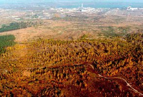 брехняяааа...