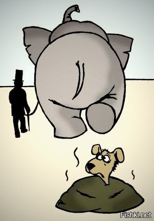 Из свежих новостей:"Боинг" компании Transavia Airlines, летевший из Нидерланд...