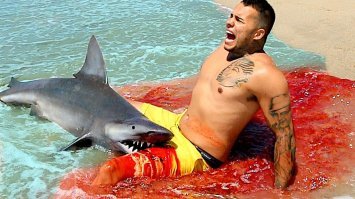 Бесстрашная акула схватила загорающего за ногу.
Особо впечатлительных просьба не возбуждаться - все бутафорское, только кричит чел по настоящему.