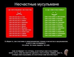 Не только Грозный: пять причин посетить Чечню