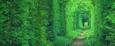 Невероятные тоннели - страшные и опасные. Вы только посмотрите на это!