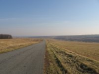 Дороги у нас тоже есть живописные. И не надо далеко ходить - в каждой области, наверное, найдётся такая.

А дворцы не только у олигархов есть. Остались ещё и старые творения. Одна усадьба Барятинских в Марьино чего стоит (а там не только дворец, но и парковый ансамбль очень красивый)
