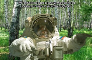 А давно ли вы гуляли в лесу?