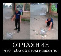 Просто боль: 350 ящиков с пивными бутылками оказались на трассе Германии