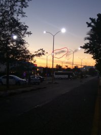 Отдыхал в Шарме,сфоткал дельфина...