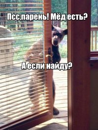 Незваные гости