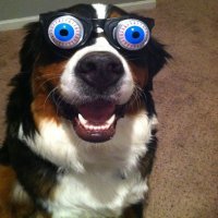 Из носа китайца извлекли огромную пиявку: видео