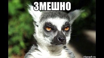 10 неожиданных фактов о лемурах