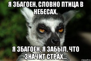 10 неожиданных фактов о лемурах