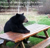 Незваные гости