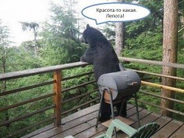 Незваные гости