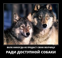 Если друг оказался вдруг