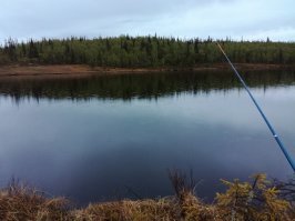 На тех выходных было так. Дождь и холод.