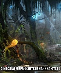 Жить в мусоре или в чистоте — личный выбор каждого