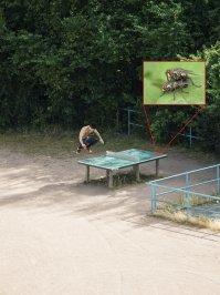 Удовлетворю любопытство многих, было тут такое