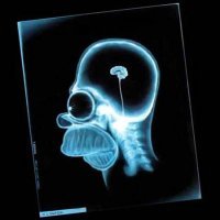 Американка воспитывает сына ни мальчиком, ни девочкой