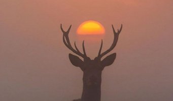 Идеальный мужчина по мнению женщин: