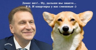 Ага, шуваловская баба тоже их обожает, и живут эти суки за наш счёт.