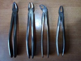 Мои инструменты, когда я вижу отрубленную голову змеи...