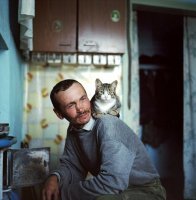 Походу веслом, не меньше! Даже нос зачесался.