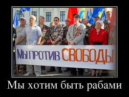 А каким образом до митингующих доводится порядок проведения митинга Указом Путина?