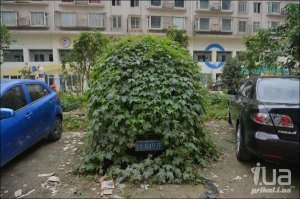 Вот это да, как стоит мощно! Настоящие мэтры парковочного дела