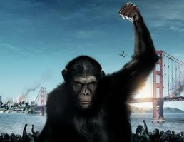 В Индонезии разъяренный орангутан попытался защитить лес от экскаватора