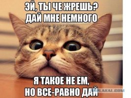 В зоопарке Хельсинки скончался единственный в мире травоядный тигр
