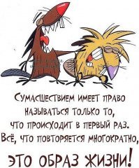 Жизнь-случаи, афоризмы, цитаты ч.2