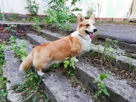 Вот и мой красавчик)