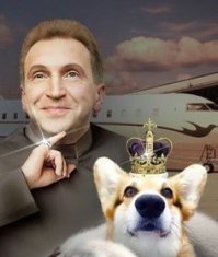 Собаки, которые живут лучше половины россиян