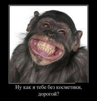 Смотритель национального парка в Конго завел себе необычного друга