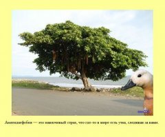 25 удивительных человеческих фобий, которые действительно существуют