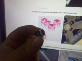 Когда Нива была, я себе такие заказал на Али. Ниву продал уже года 4 как, колпачки остались :).