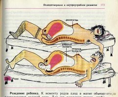 А вы рисовали в учебниках?